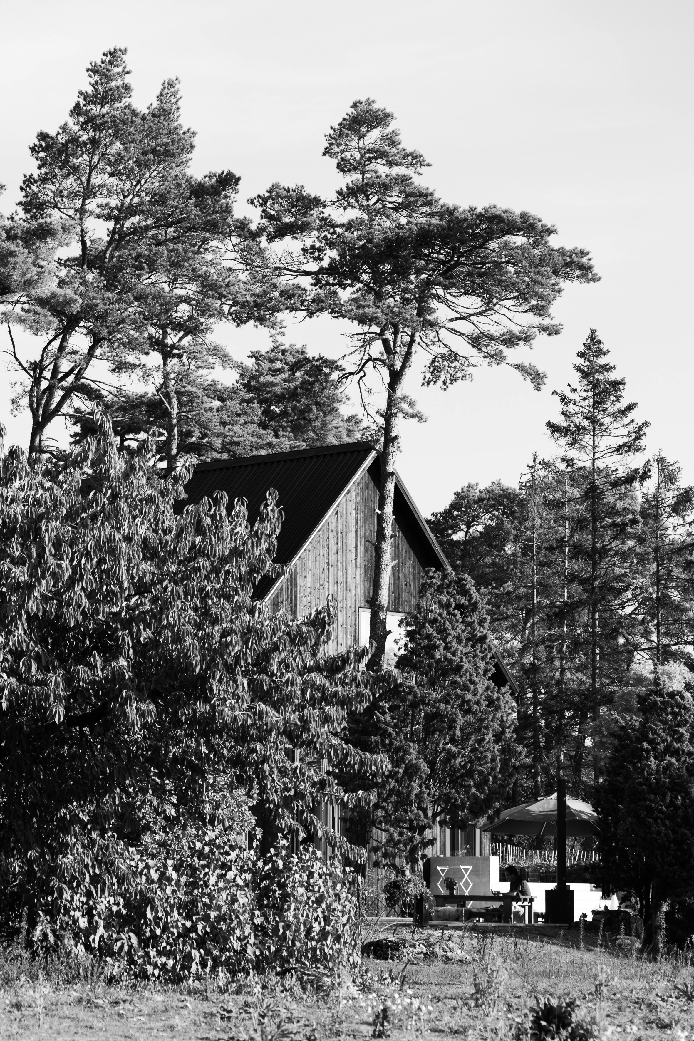 Gotland House: Rediscovering the Essence of Simplicity(图2)